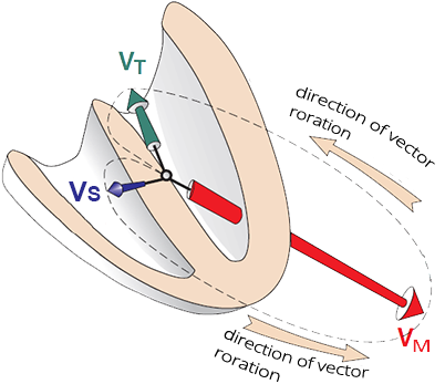 Heart with septal, main, and terminal electrical vector