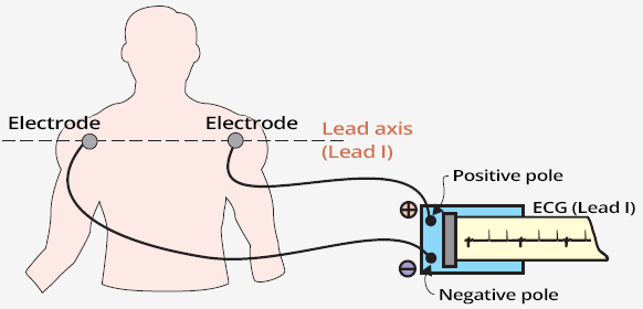 Registration ECG lead I axis with positive and negative pole