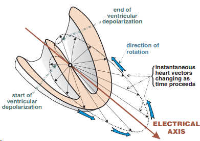 Mean frontal plane electrical QRS axis