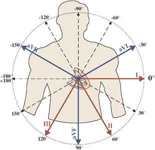 Heart axis rotation in frontal plane and ECG limb leads