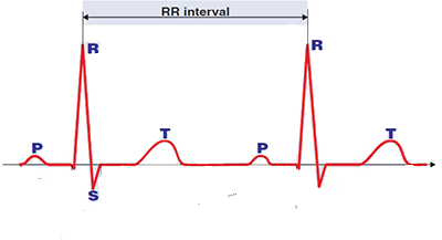 RR interval is the interval between two peak R waves