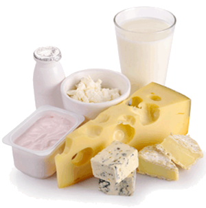 calcium nutrition source milk, cheese