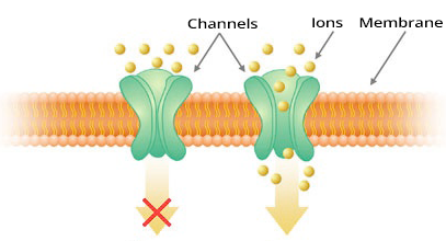 Channelopathy, Long QT syndrome