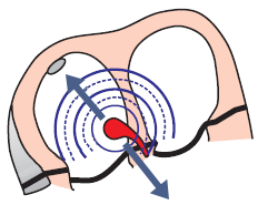 AV junction (AV node, Bundle of His) retrograde, anterograde vectors