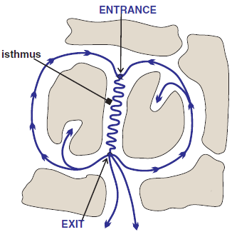 Double loop figure-of-8 reentry, monomorphic ventricular tachycardia, Entrance, Exit site, Isthmus, Bystander, Outer loop, Inner loop