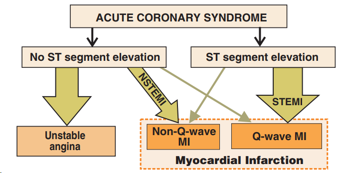 Acute cardiac ischemia, non-ST segment elevation, biomarkers of myocardia necrosis, unstable angina, NSTEMI infarction, ST segment elevation, elevated troponin, STEMI infarction