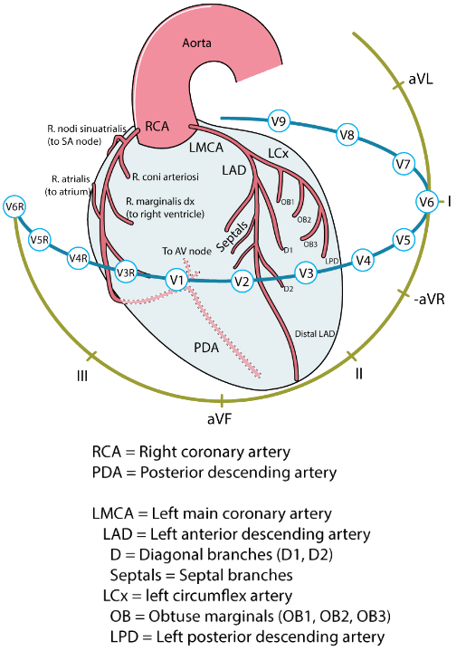 Standard ECG leads and posterior STEMI with ischemia pattern (V1-V4)